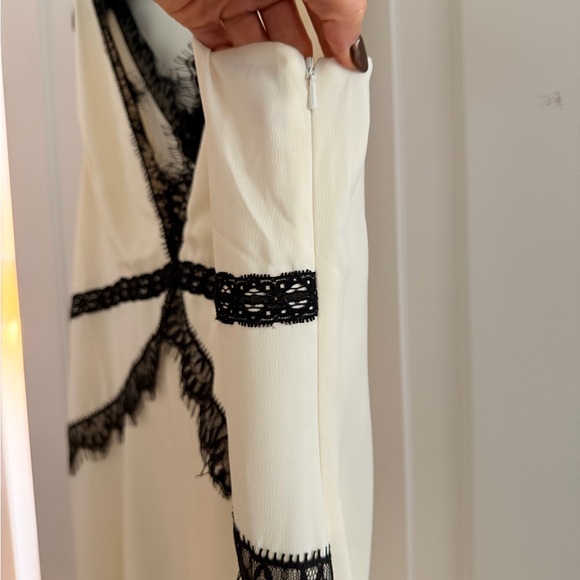 Anthropologie White Silk with Black Lace Dress - Picture 7 of 8